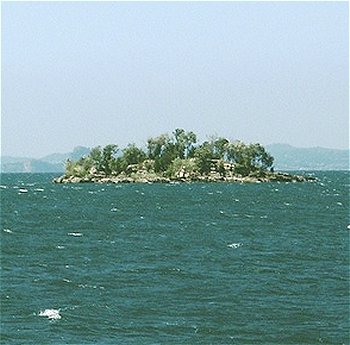 isola dell'Olivo