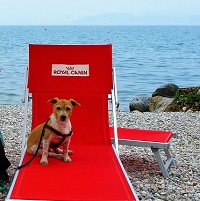 Spiagge per cani sul Lago di Garda