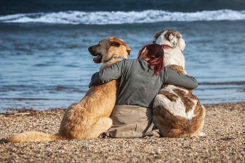 Salò (BS): dove portare il cane in spiaggia