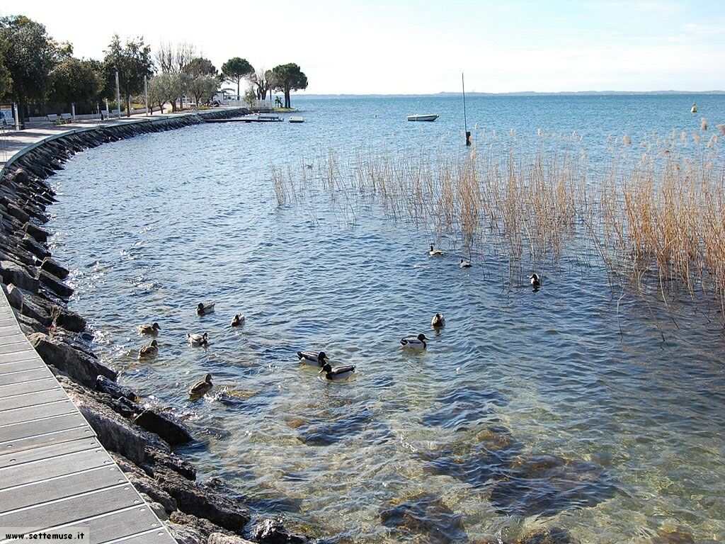 Bardolino (VR)