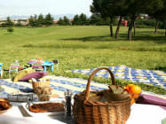 Dove fare un picnic a Desenzano