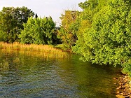 Parchi e Natura: Oasi di San Francesco