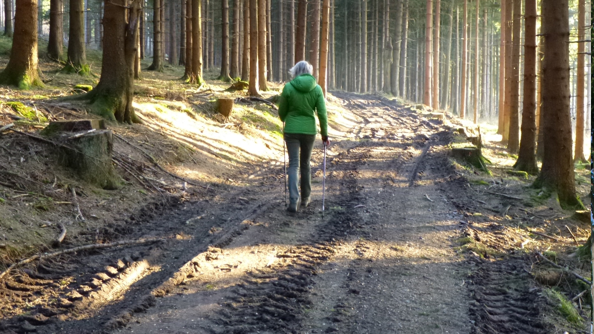 Nordic Walking