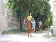 Equitazione 