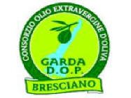 Guida all'Olio del Garda Dop Bresciano