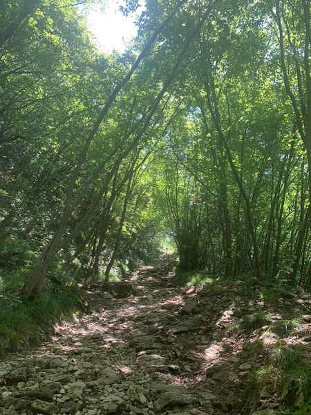 Passeggiata alla cima Comer primo tratto