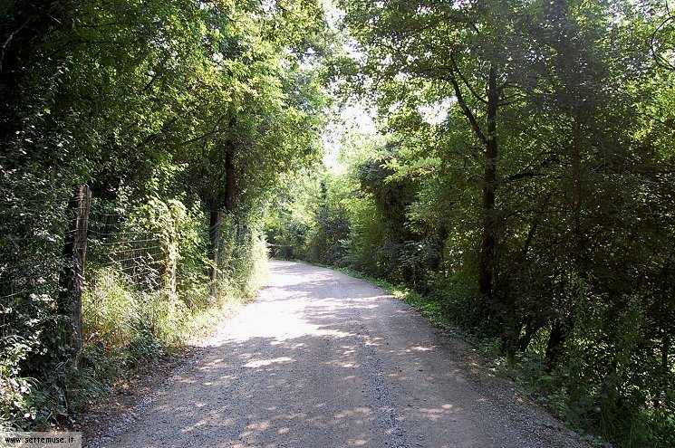 Foto pista ciclabile Arzaga/Lonato