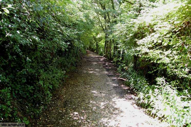 Foto pista ciclabile Padenghe/Maguzzano