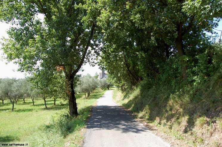 Foto pista ciclabile Padenghe/Maguzzano