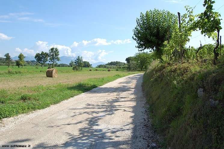 Foto passeggiata Padenghe Verde