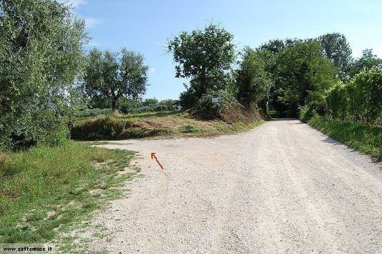 Foto passeggiata Padenghe Verde