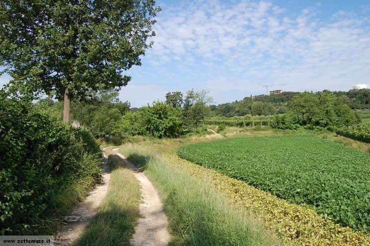 Foto passeggiata Padenghe Verde
