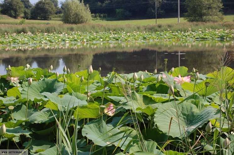 Foto pista ciclabile Polpenazze/Sovenigo laghi