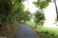 Soiano - Lonato