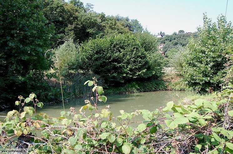 Foto pista ciclabile Lonato-Arzaga, verso Lonato