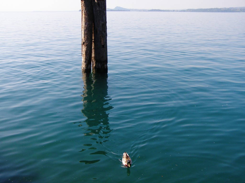 Foto Lago di Garda