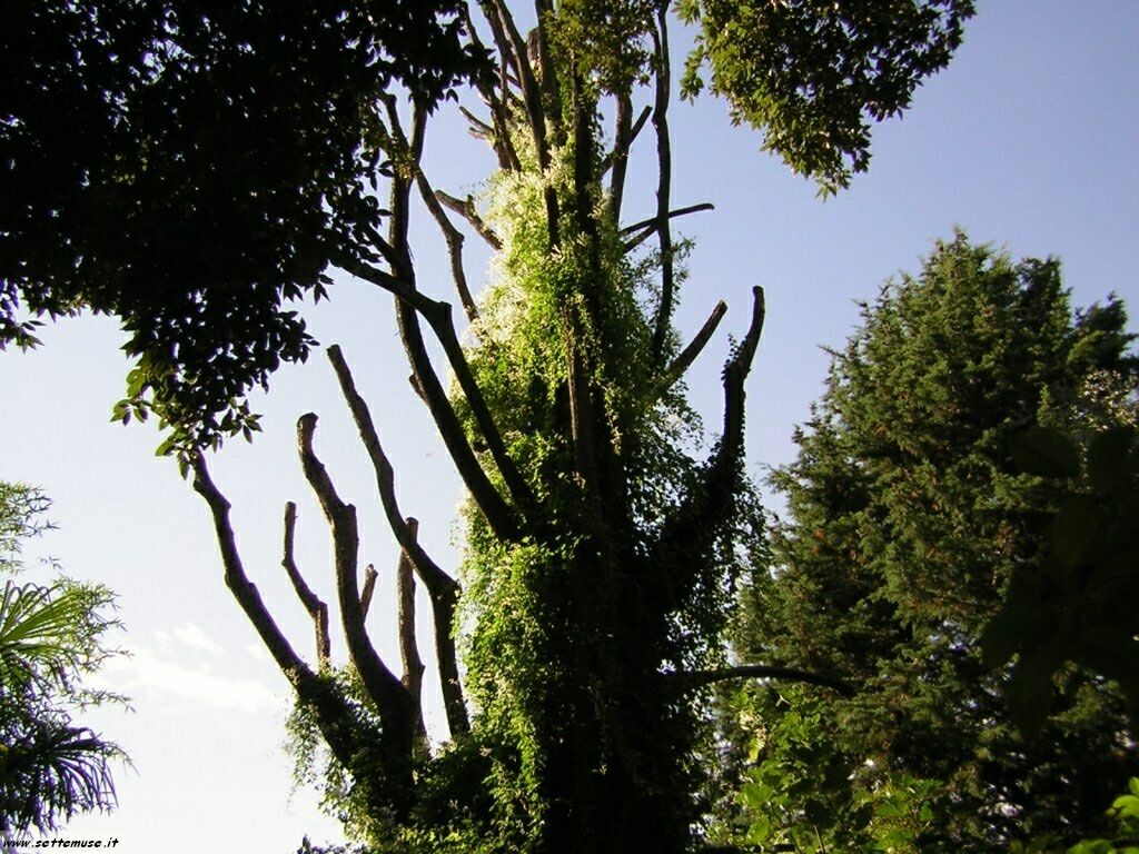 Giardini Hruska di Gardone Riviera