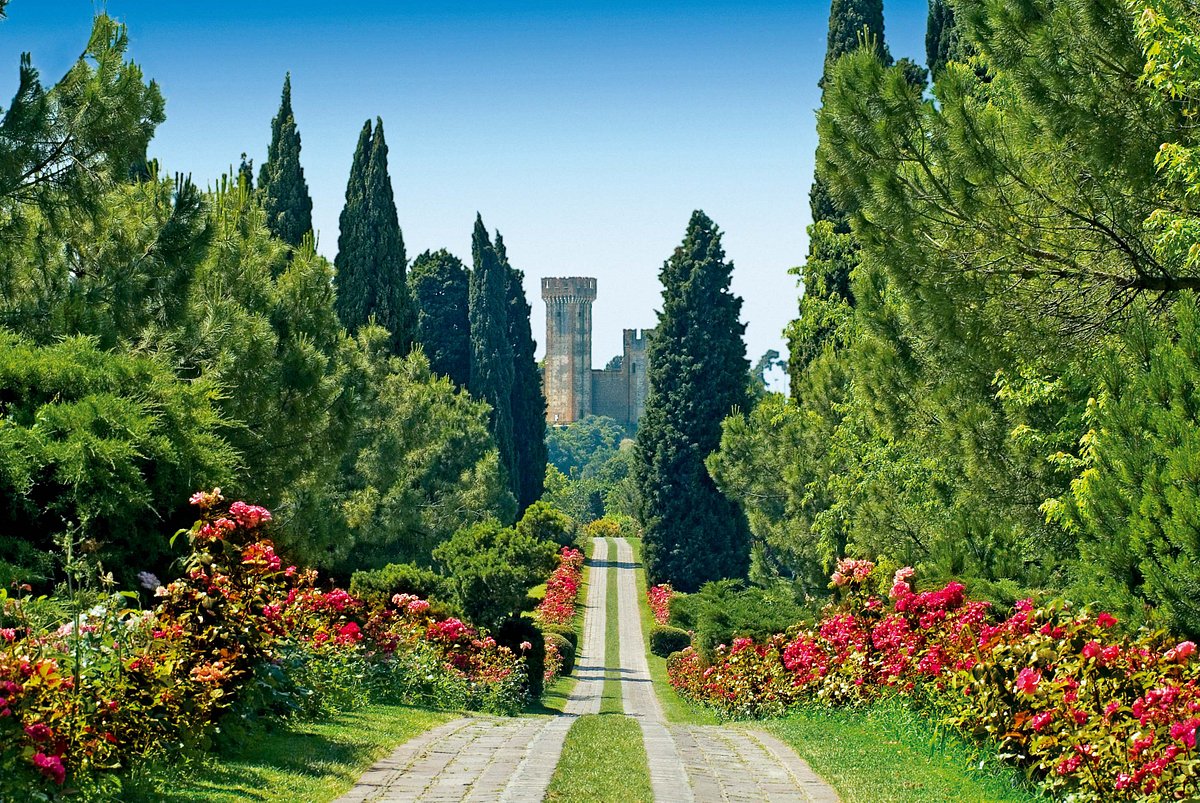 Viale delle Rose Parco Sigurtà foto