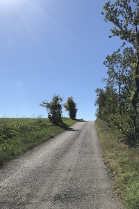 Santuario Le Fontanelle Montichiari