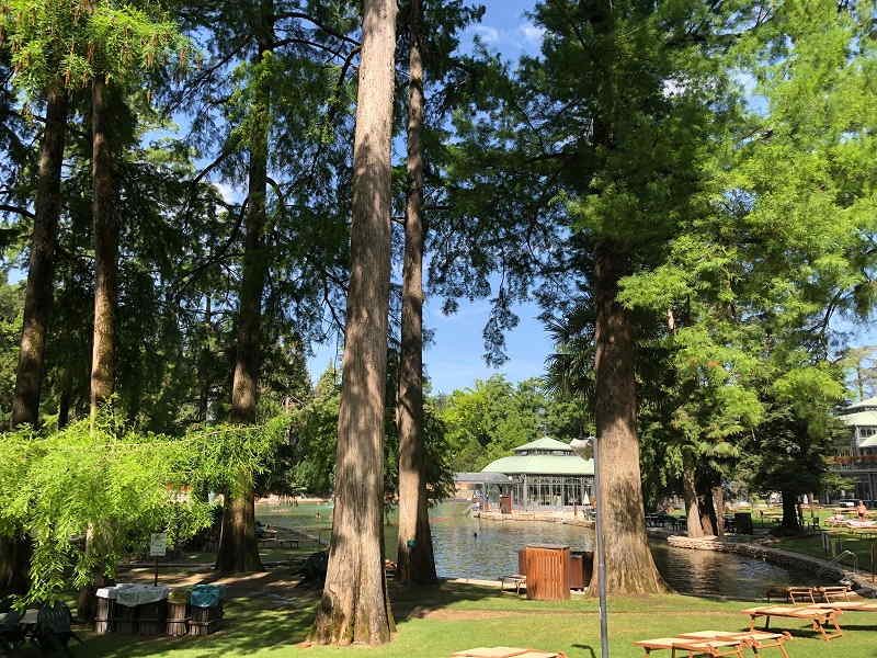 Terme di Colà a Lazise - Villa dei Cedri