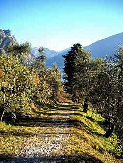 Sentieri di Limone sul Garda