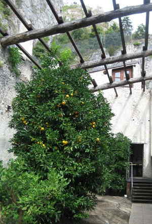 Limonaia del Castel sul Lago di Garda