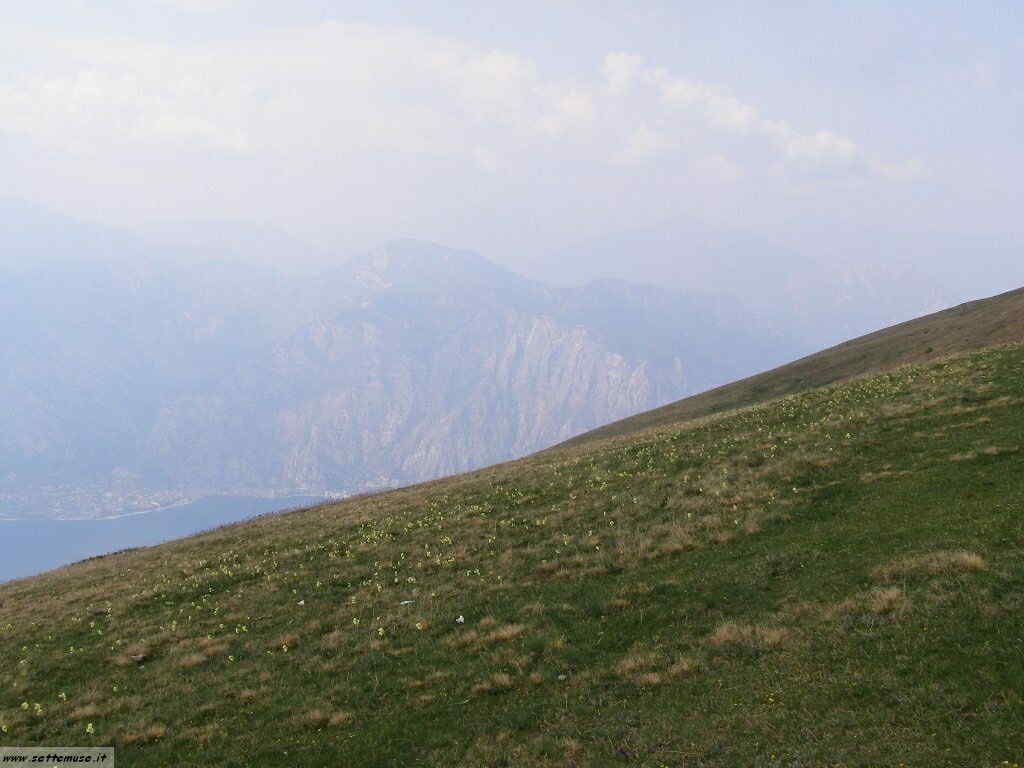 Monte Baldo_068.jpg