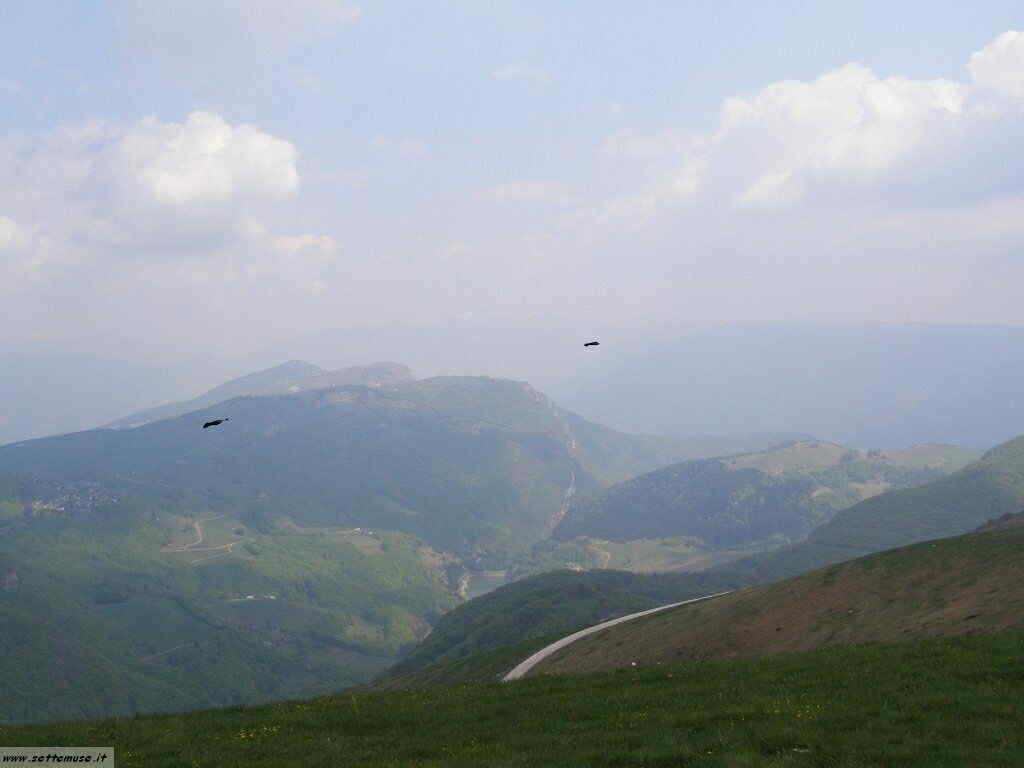 Monte Baldo_077.jpg