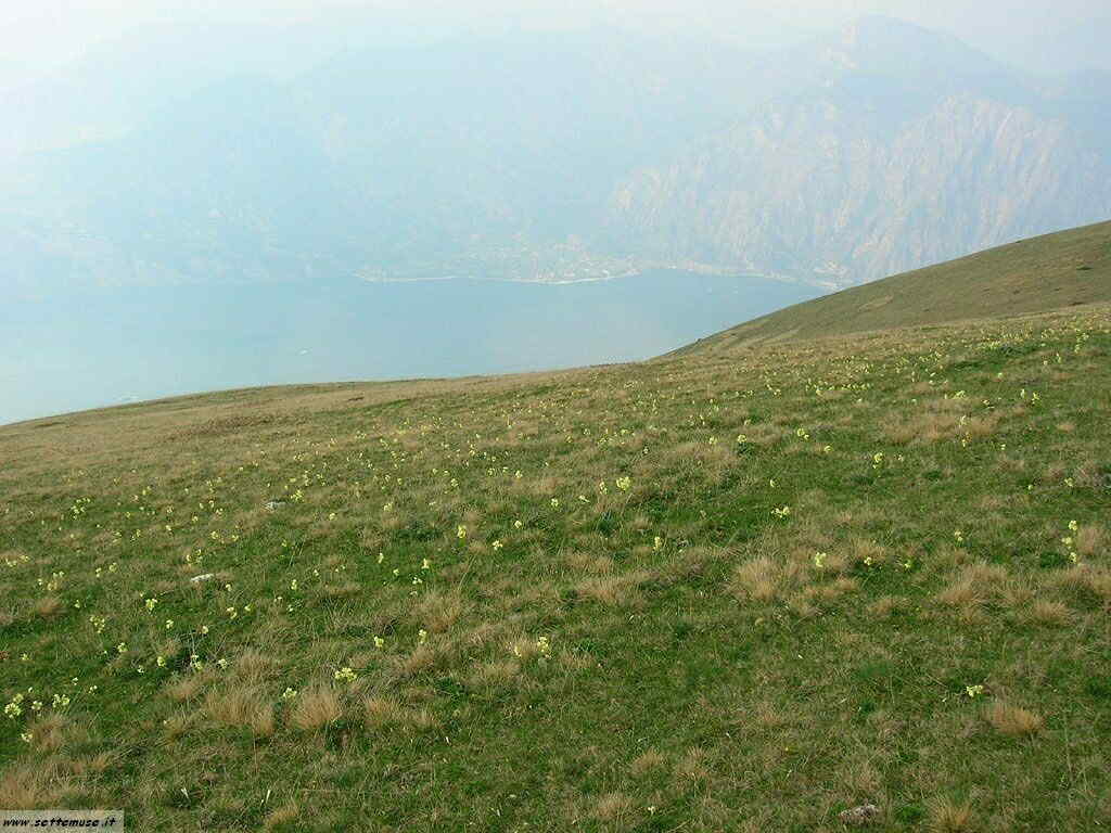 Monte Baldo_795.jpg