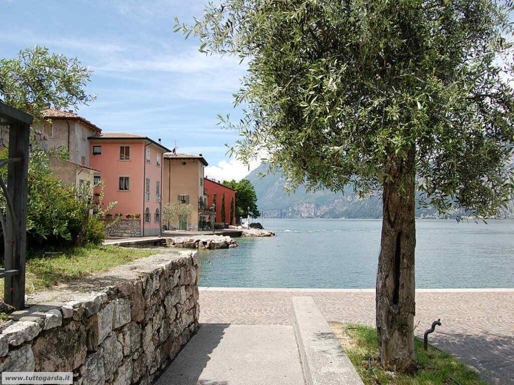 Cassone (VR)  lago di Garda orientale