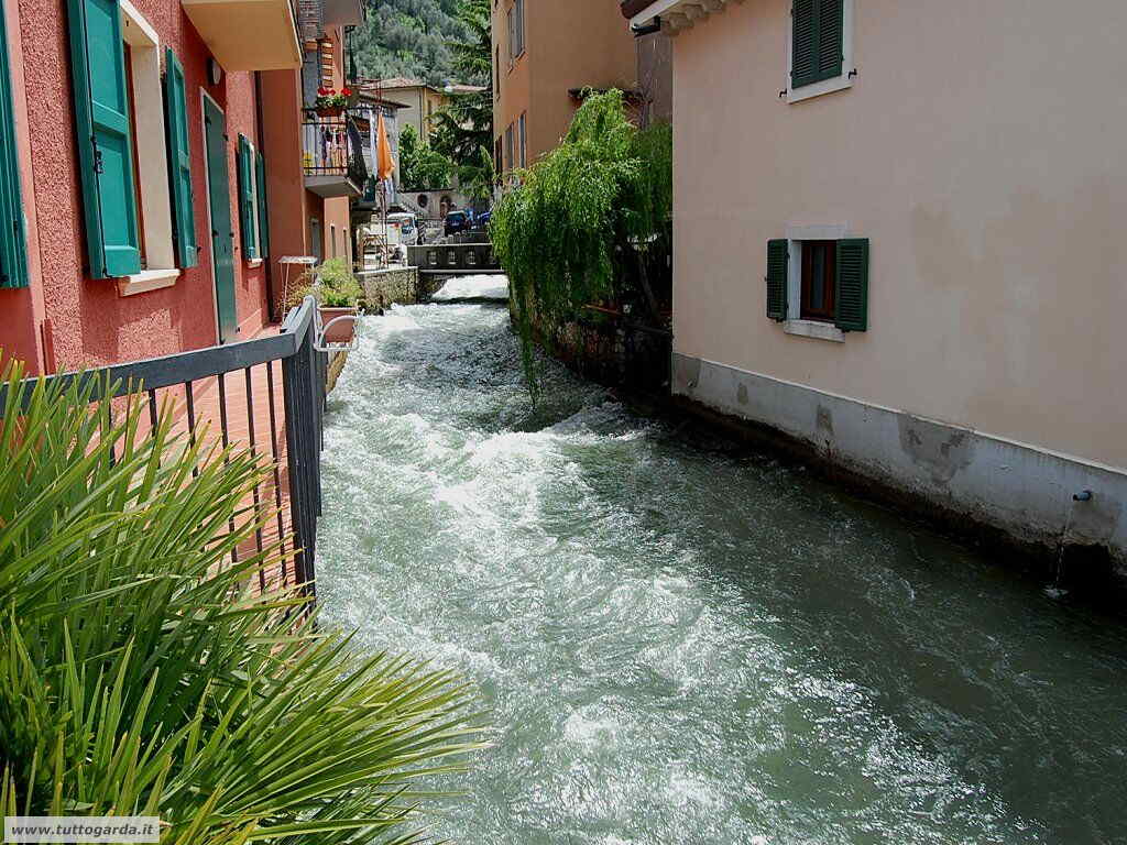 Fiume Aril a Cassone (VR)