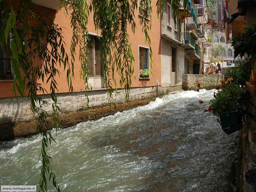 Fiume Aril a Cassone (VR)