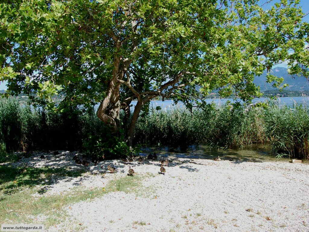 Scorcio da Porto Torchio di Manerba del Garda