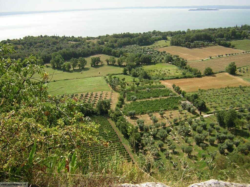 Rocca di Manerba del Garda-140.jpg