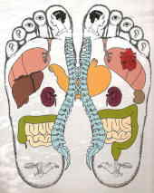 Reflessologia plantare