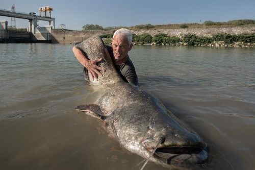 River Monster sul Lago di Garda