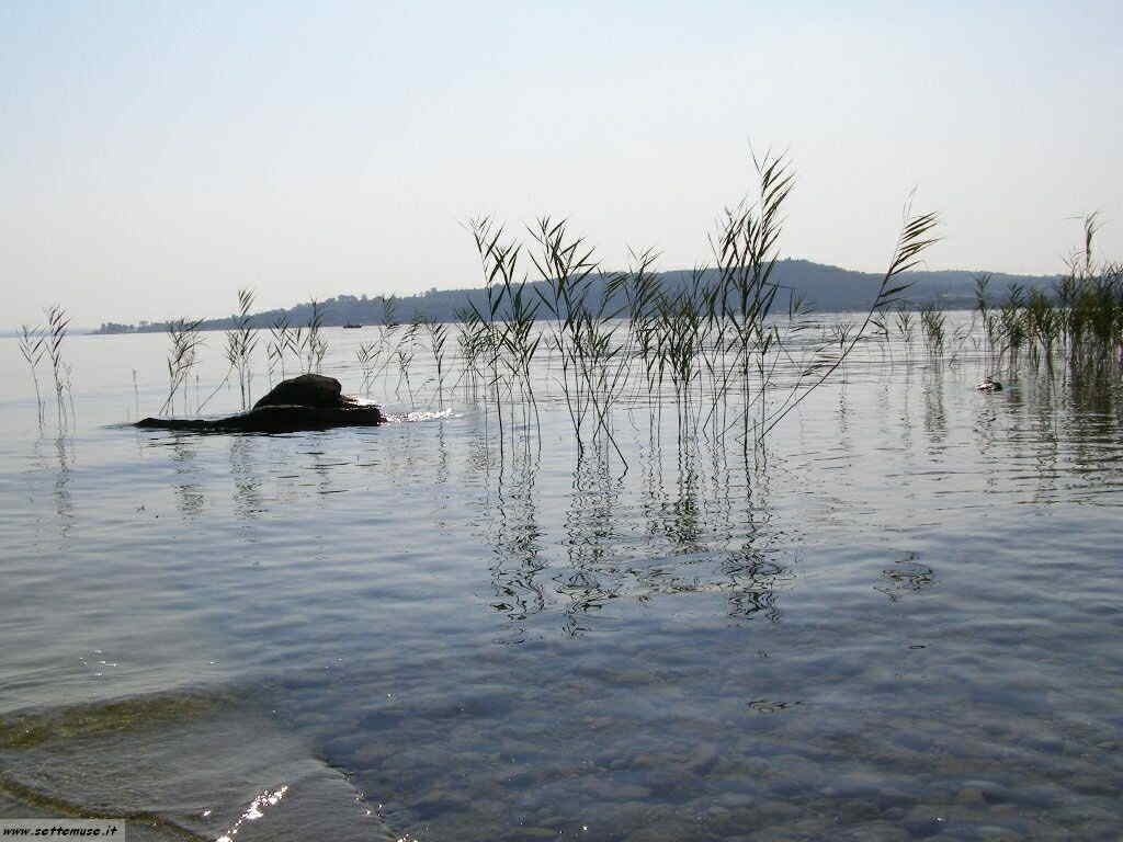 Spiaggia di Padenghe del Garda -garda_062.JPG