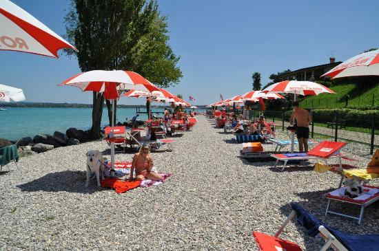 Peschiera del Garda (VR): cane in spiaggia alla Braccobaldo Bau Beach