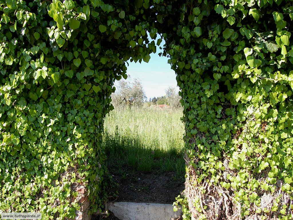 visite/san_felice_009_santuario_del_carmine.JPG