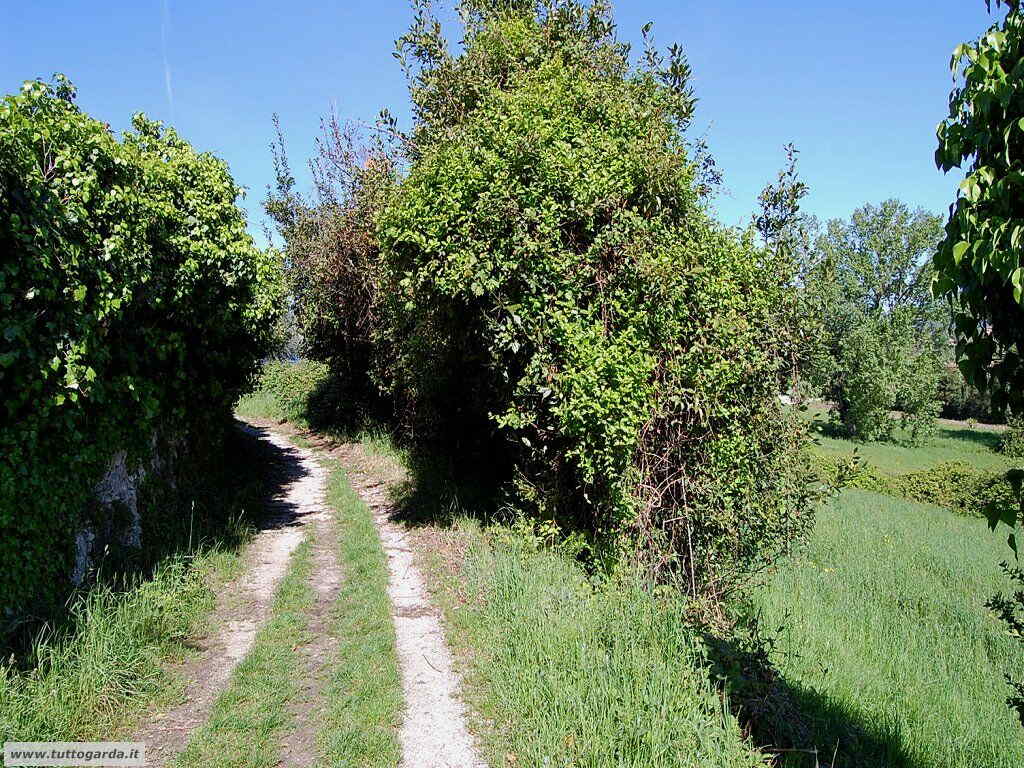 Dove fare una camminata a San Felice del Benaco