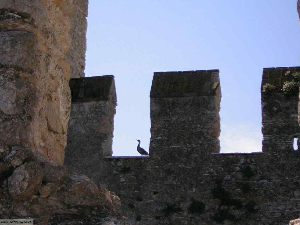 Sirmione Foto Castello