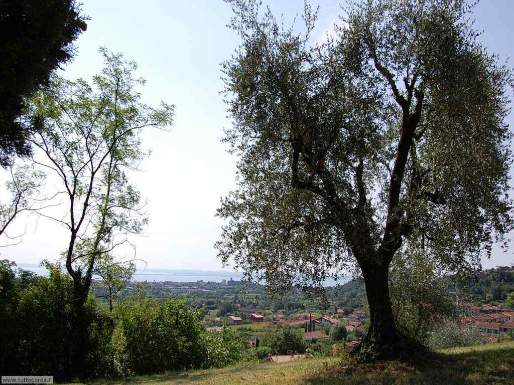 Castello di Soiano - panorama 013