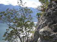 Foto di Tremosine (BS)
